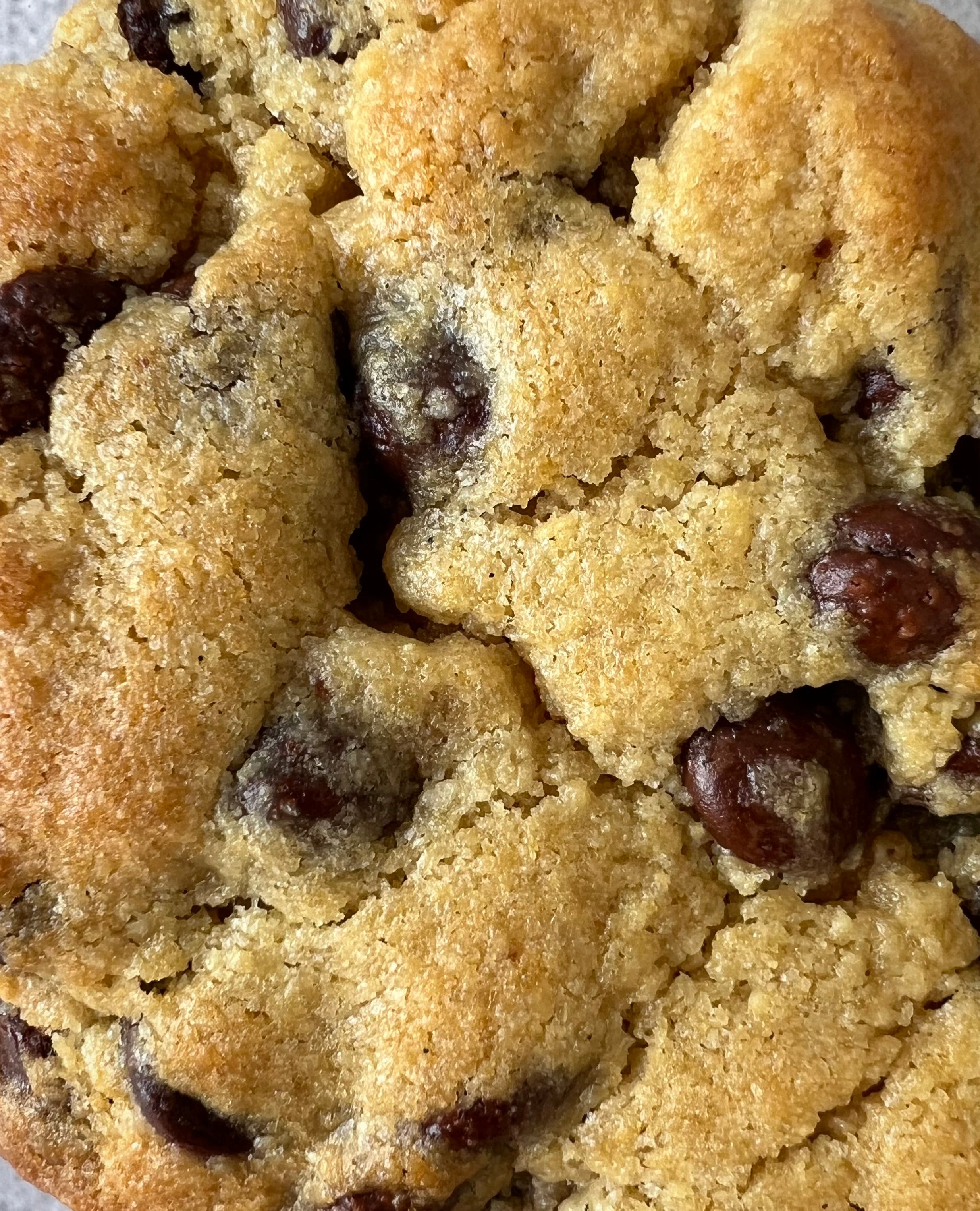 Chocolate Chip (6 Pack) - Sweet Crumble
