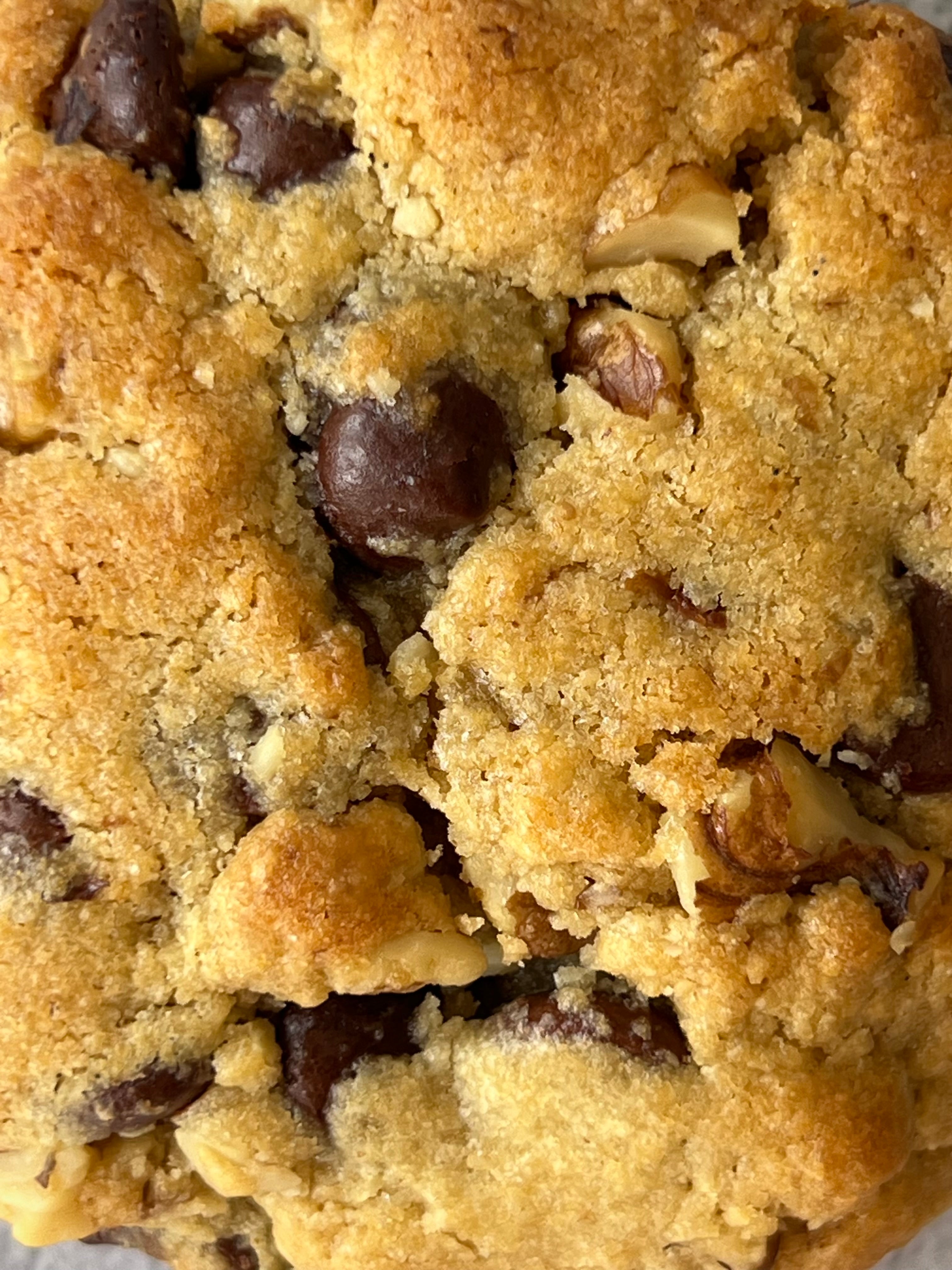 Chocolate Walnut (6 Pack) - Sweet Crumble